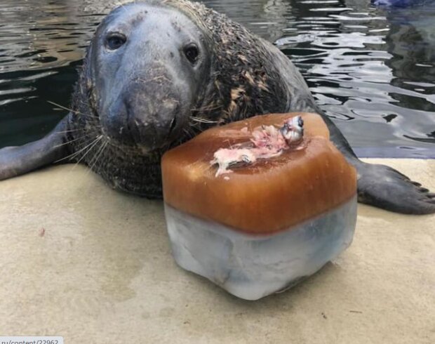 Fotografie: 4tololo.ru