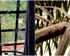 Fotografie: 4tololo.ru