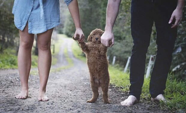To je naše dítě. Foto: snímek obrazovky goodhouse.ru