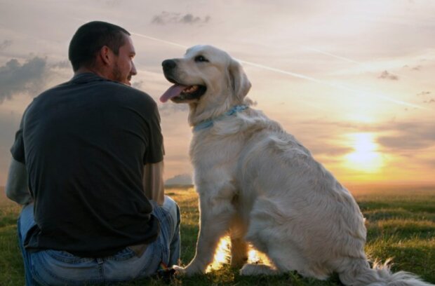 Muž a domácí mazlíčci. Foto: snímek obrazovky story-house.ru
