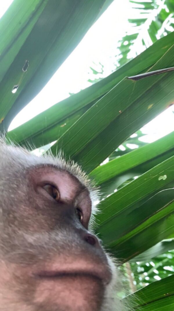 Fotografie: 4tololo.ru