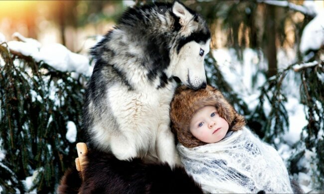 Vlci zachránili rodící ženu. Díky nim dítě přežilo. "Vlků jsem se vždy strašně bála, teď je miluji. Určitě se za nimi jednou vrátím a poděkuji jim"