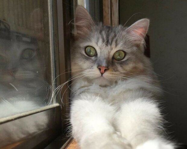 Fotografie: 4tololo.ru