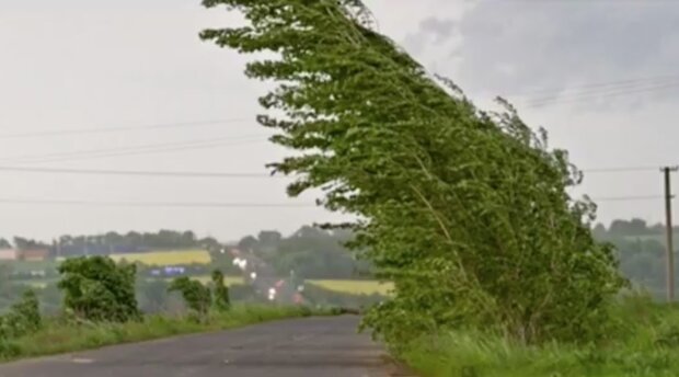 V Česku udeří silný vítr: Jaké rychlosti dosáhnou poryvy větru. Meteorologové promluvili