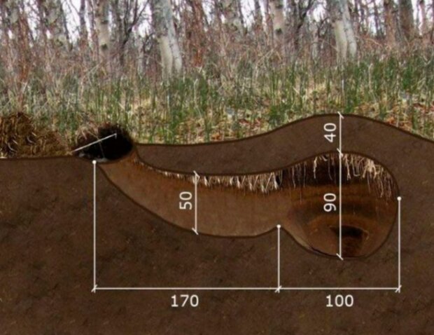 Doupě. Foto: snímek obrazovky laykni.com