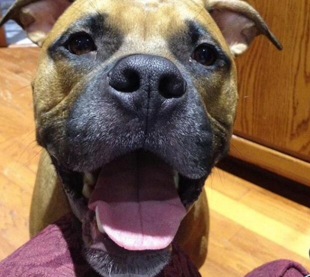 Fotografie: 4tololo.ru