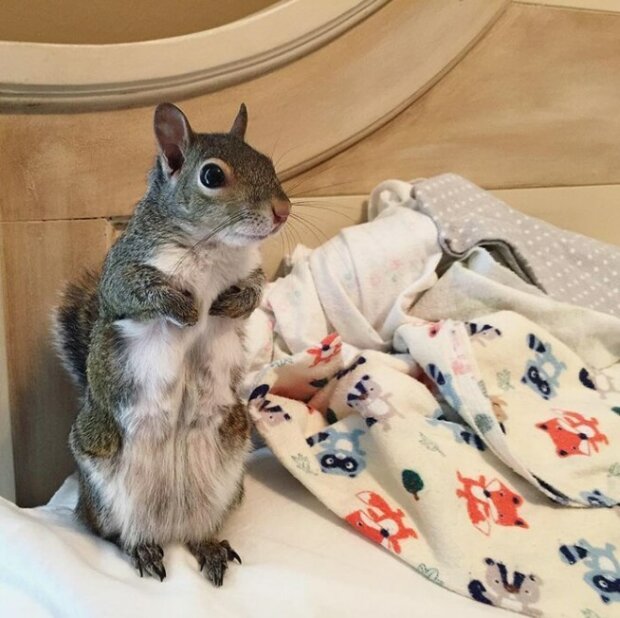 Zdroj fotografie: boredpanda.com