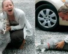 Setkání majitele a milovaného psa