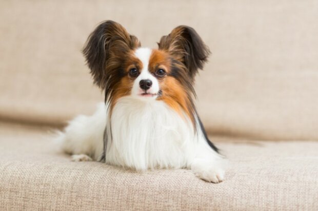 Fotografie: Getty Images/iStockphoto