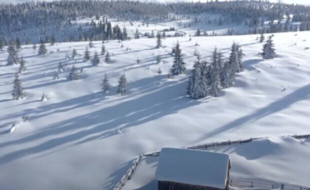 Česko čeká vydatné sněžení: Meteorologové zveřejnili předpověď a řekli, jakých nejnižších teplot se dočkáme