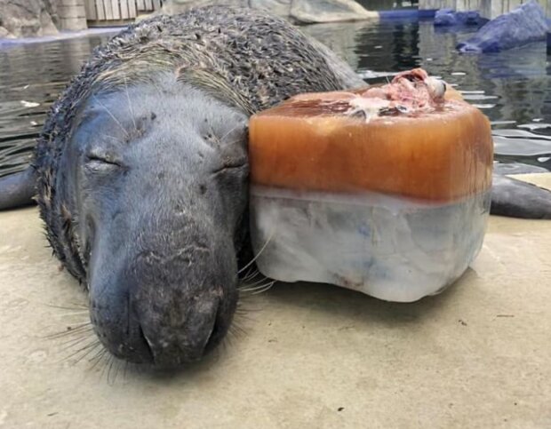 Fotografie: 4tololo.ru