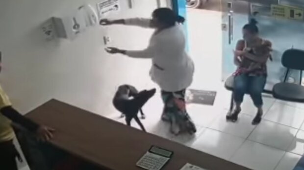 Pes. Foto: snímek obrazovky YouTube