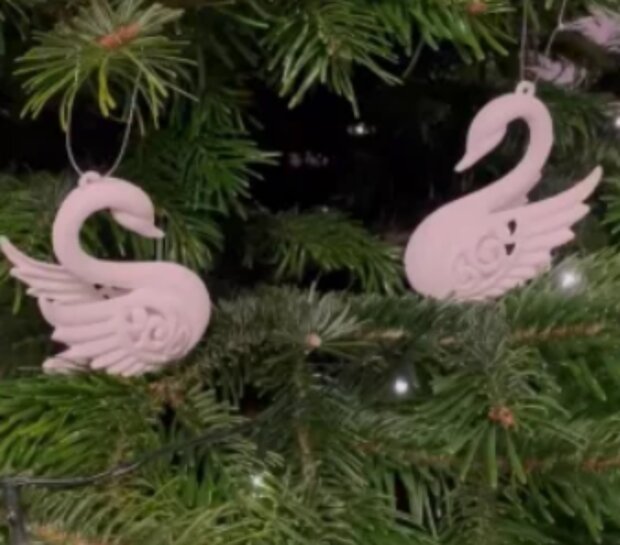 Foto: snímek obrazovky blesk.cz