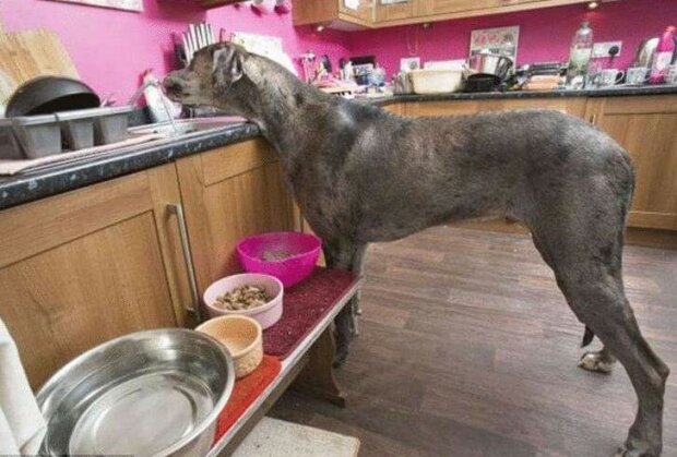 Fotografie: leprechaun.land