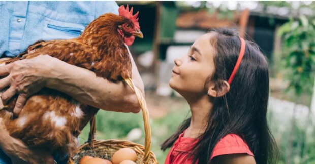 Fotografie: Mmykote.ru