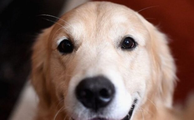 Fotografie: joinfo.com