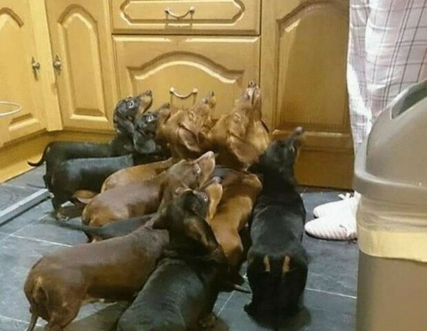 Fotografie: leprechaun.land