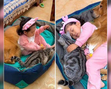 Starostlivá maminka: Holčička si hraje, spí a krmí psa a kočku