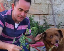 O tom, že nejstarší pes na světě nyní běží po duze, informovala Guinnessova kniha rekordů: "Bobi neměl přežít"