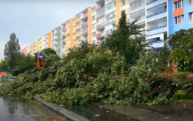 Českou republiku zasáhne silný vítr: Je známo, kde bude počasí nejhorší