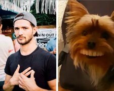 Pes ukradl umělé zuby majitele a stal se "monstrem": "Pravda, způsobuje neustálý smích"