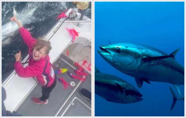 9letá holka ulovila obrovského tuňáka, Foto: snímek obrazovky YouTube