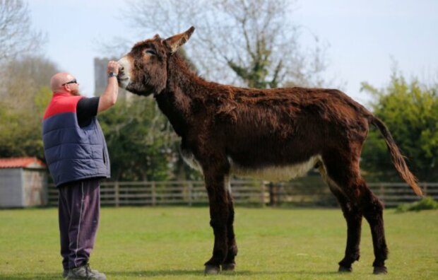 Fotografie: lebenweb.com