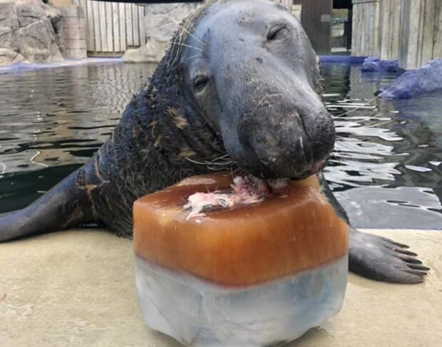 Fotografie: 4tololo.ru