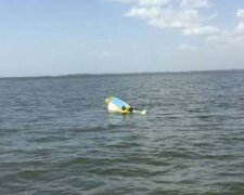 Pes plaval na břeh po dobu jedenácti hodin, aby zavolal pomoc