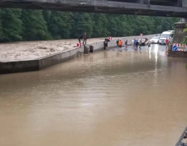 Holka. Foto: snímek obrazovky YouTube