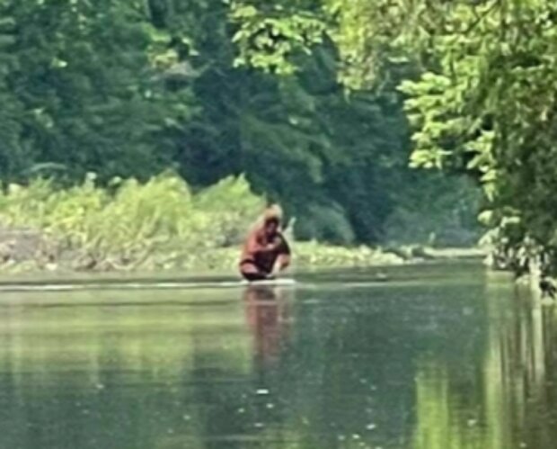 Yetti. Foto: snímek obrazovky Facebook