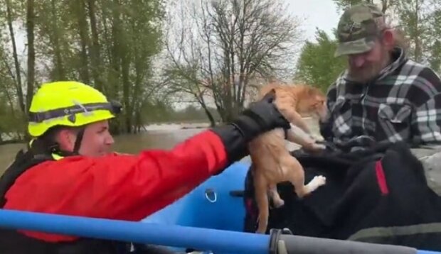 Fotografie: dailymail.co.uk