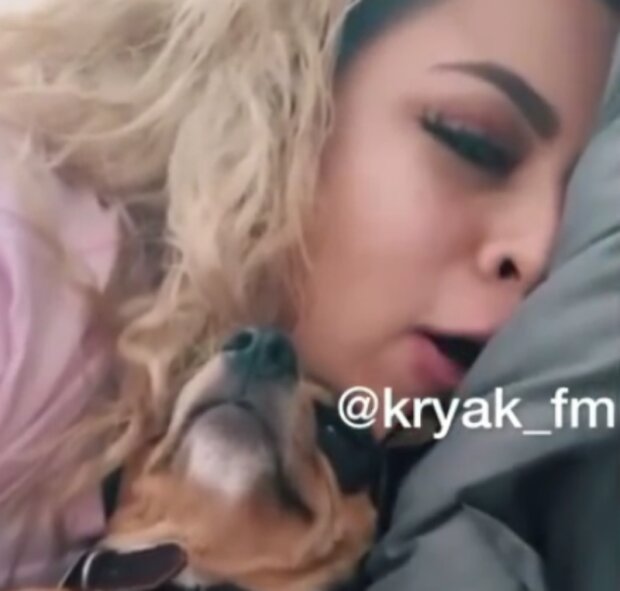 Pes. Foto: snímek obrazovky YouTube