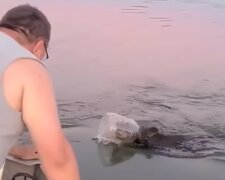 Medvěd strčil hlavu do sudu a nemohl se dostat ven. Naštěstí byli dobří lidé poblíž