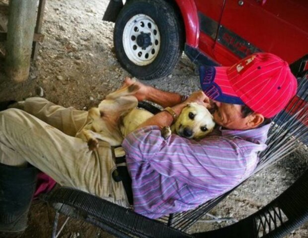 Pes a muž. Foto: snímek obrazovky laykni.com