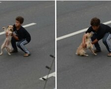 Teprve jedenáctiletý brazilský chlapec prokázal neuvěřitelnou odvahu, aby zachránil psa. "Je to malý hrdina a všichni by si z něho měli vzít příklad"