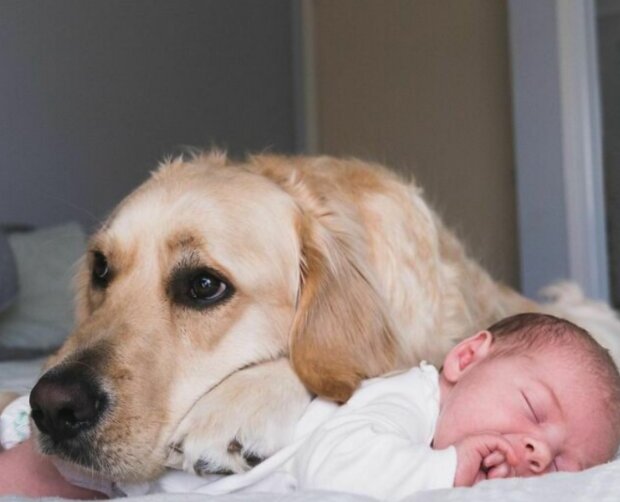 Foto: snímek obrazovky Instagram