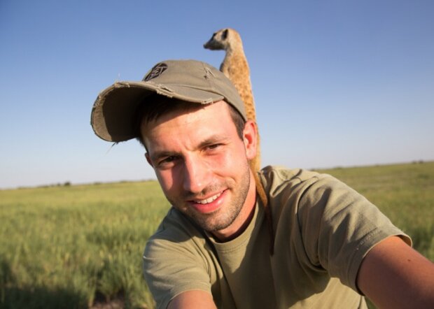 Surikaty. Foto: snímek obrazovky udivitelno.com