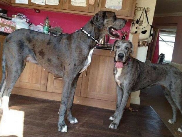 Fotografie: leprechaun.land