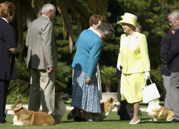 Alžběta II. dostala pejska a poprvé to není Corgi: Proč britská královna už nechtěla mít nového mazlíčka