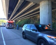 Bezdomovec riskoval život, zachránil život psovi