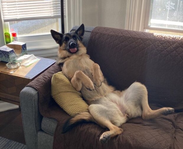 Fotografie: laykni.com