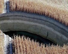 Úplné selhání: ráno turecký farmář vyšel prozkoumat své kukuřičné pole a narazil na zející dury v zemi
