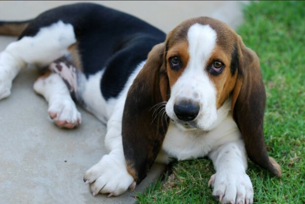 Fotografie: Rosette Jordaan/Е+/Getty Images
