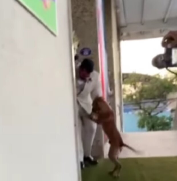 Foto: snímek obrazovky Instagram