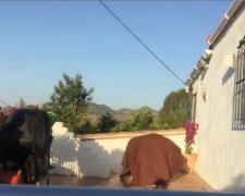 Vrátil se po 6 měsících odloučení a rozhodl se zahrát si na psa trik. Pejsek měl radost