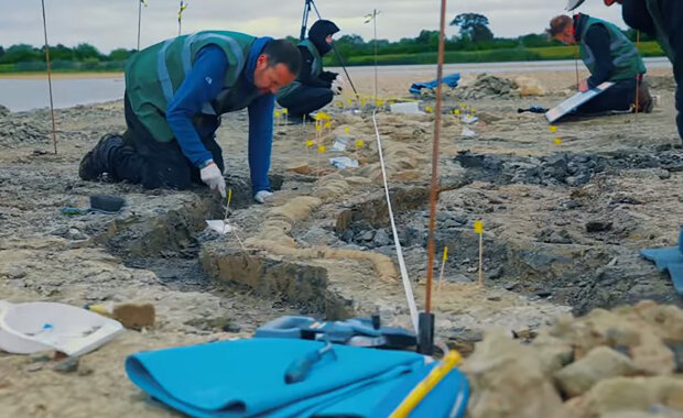 "Žil pod vodou a měl obrovské tělo": archeologové objevili ostatky tvora připomínajícího draka