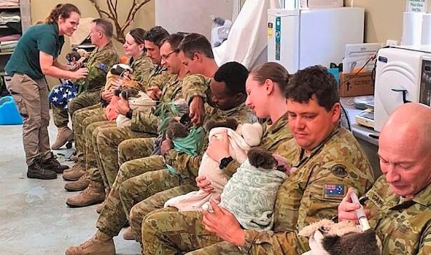 "Skvělá morálka": vojáci, kteří riskují své životy v boji proti ničivým požárům, využívají svůj odpočinkový čas k tomu, aby krmili regenerující koaly