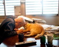 Vnučka dala svému dědovi kotě a kocour mu vrátil radost ze života