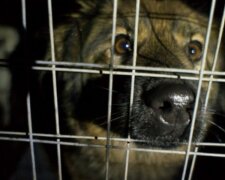 Fotografie: laykni.com